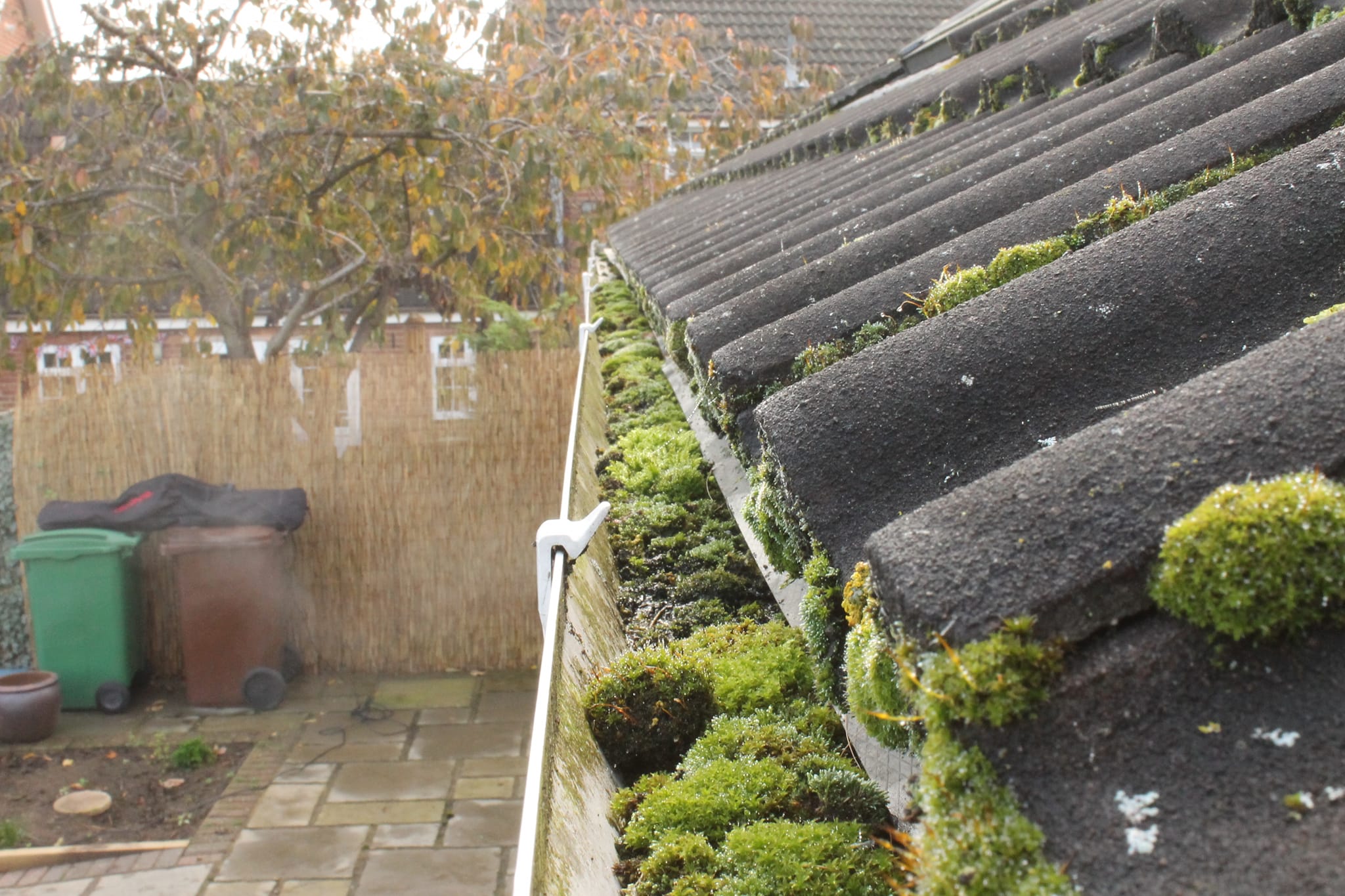 Gutter Cleaning