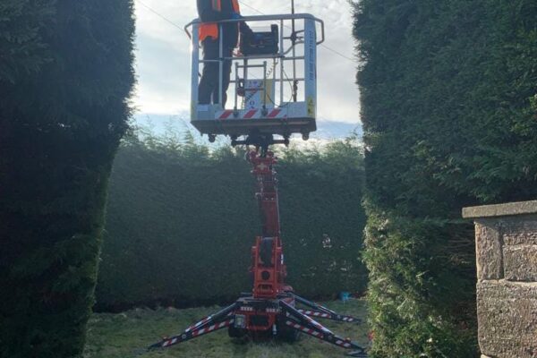 Hedge Cutting