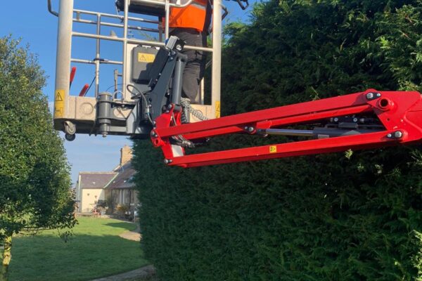 Hedge Cutting