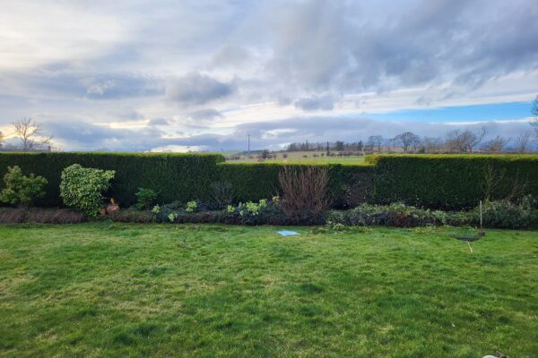 Hedge Maintenance