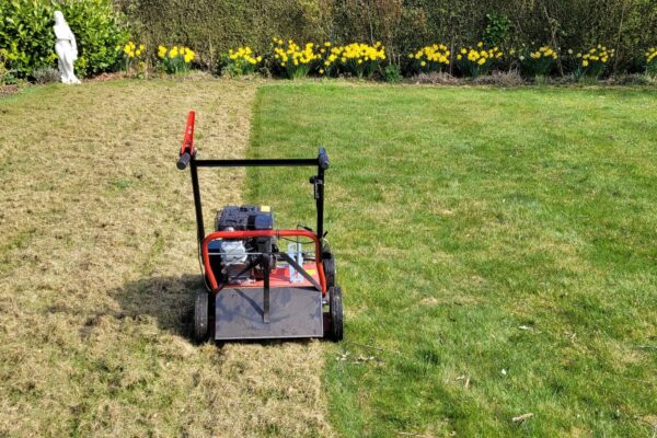 lawn scarifying