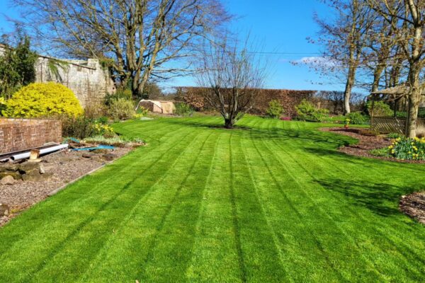garden grass cutting