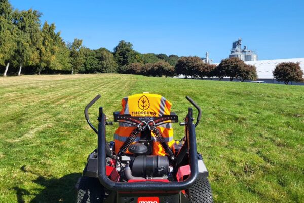 cutting a big lawn