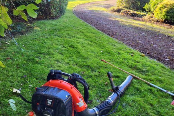 leaf clearance
