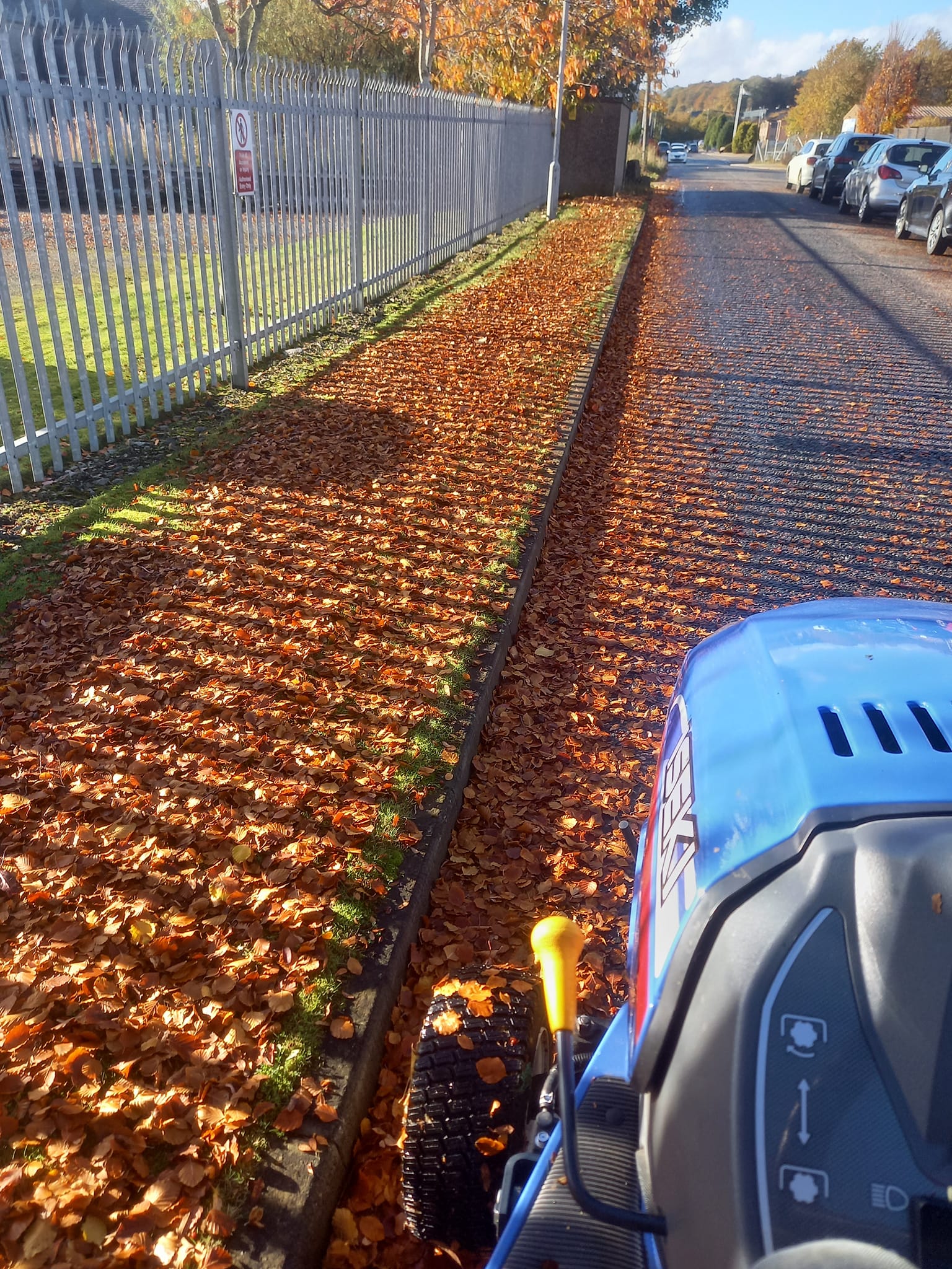 clearing leaves