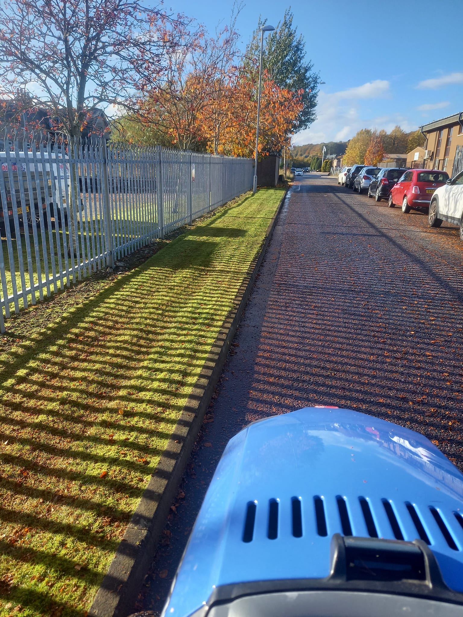 clearing leaves