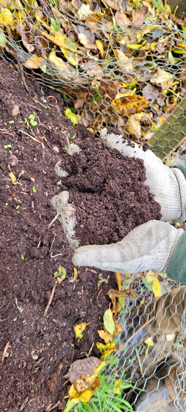 leaf composting