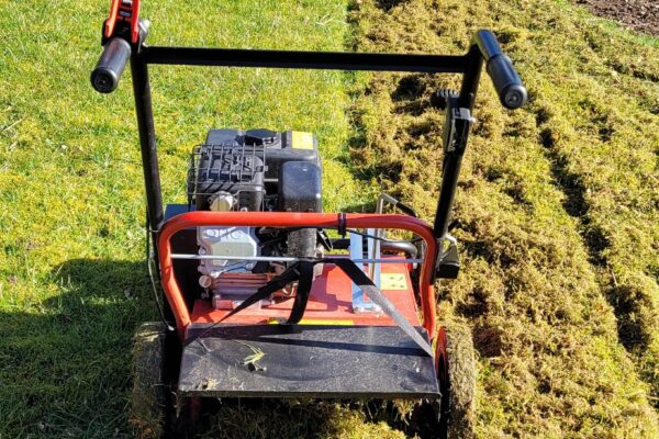 Moss Treatment