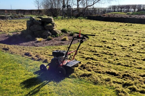 Moss Treatment