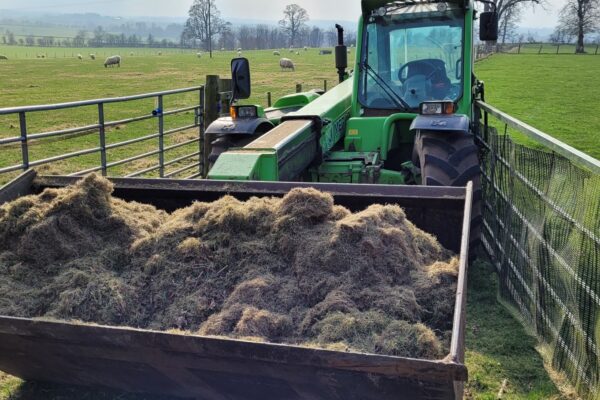 Moss Treatment