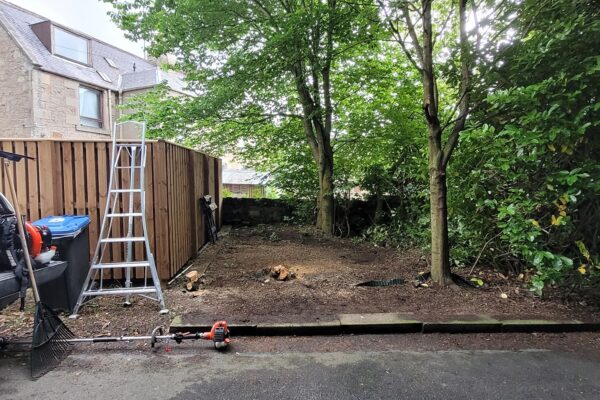 tree pruning