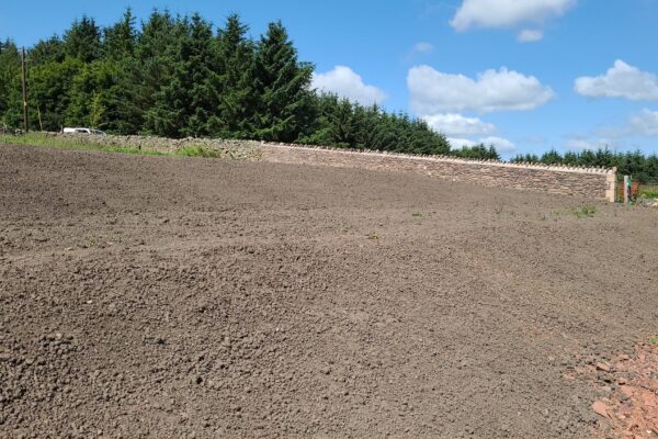 weed control