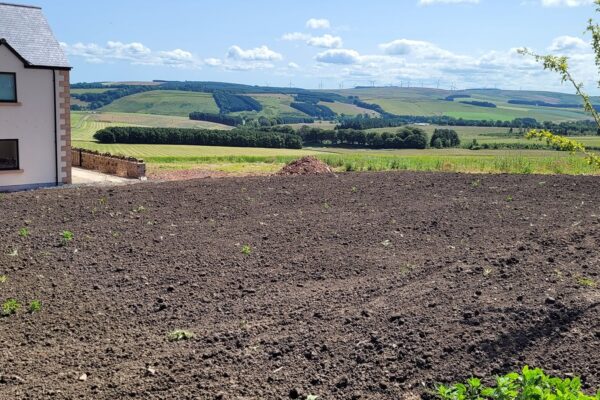 controlling weeds